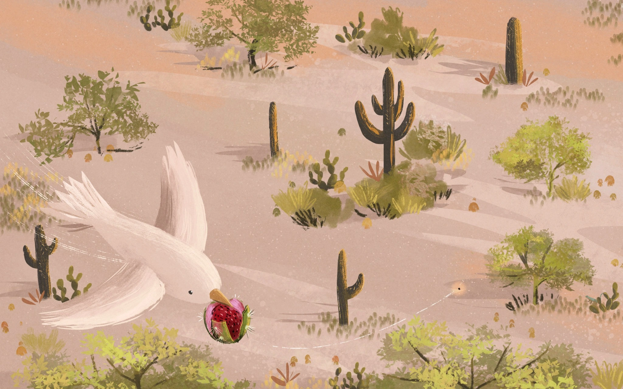 The Giving Tree of the Desert — bird carrying cactus fruit across the desert